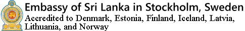 SLEMB stockholm logo